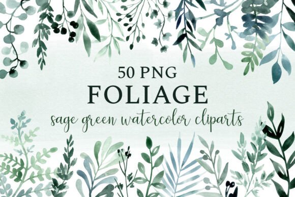 Download Leaves &amp; Foliage, Sage Greenery Clipart - Sage Collection