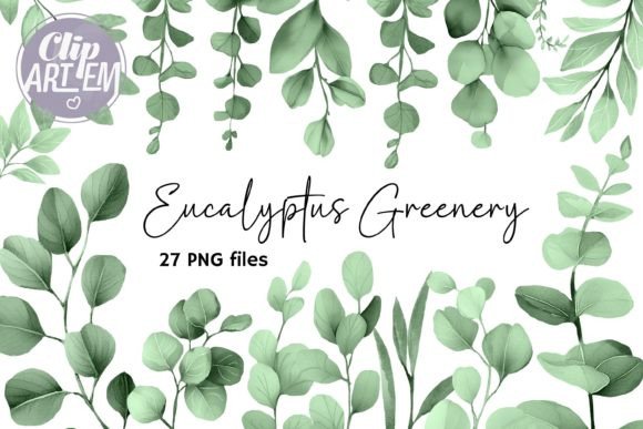 Download Eucalyptus Greenery ClipArt 27 PNG Sage - Sage Collection