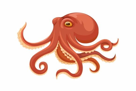 Download Octopus Aquatic Animal Cartoon Vector - Premium Resources